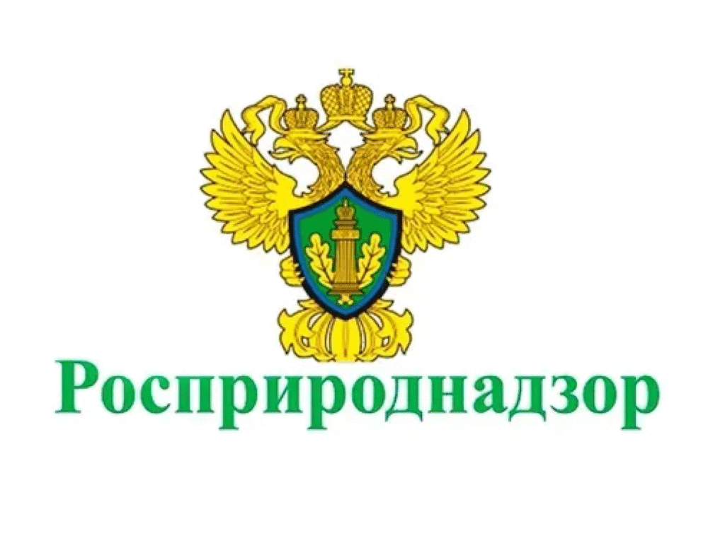 Технологическое оборудование для утилизации отходов